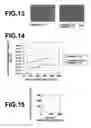 Fig. 07 - INSULATING LAYER PROVIDED METAL SUBSTRATE AND MANUFACTURING METHOD OF THE SAME