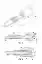 Fig. 07 - Hydraulic bicycle hose structure