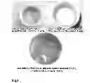 Fig. 02 - Adhesive material with carbon material and method for its production and use