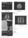 Fig. 07 - Composites having improved interlayer adhesion and methods thereof