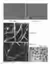 Fig. 08 - Composites having improved interlayer adhesion and methods thereof