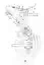 Fig. 12 - Hydraulic bicycle component system
