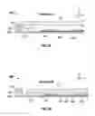 Fig. 06 - Keyboard construction having a sensing layer below a chassis layer