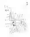 Fig. 03 - PURIFICATION OF WATER BY HEATING WITH SUNLIGHT, VIA OPTICAL CABLE