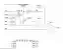 Fig. 01 - Chip set-up and high-accuracy nucleic acid sequencing