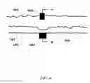 Fig. 09 - Chip set-up and high-accuracy nucleic acid sequencing