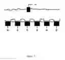 Fig. 10 - Chip set-up and high-accuracy nucleic acid sequencing