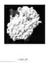 Fig. 22 - Chip set-up and high-accuracy nucleic acid sequencing