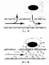 Fig. 09 - Localized Chemical Microgradients