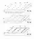 Fig. 10 - Localized Chemical Microgradients