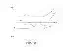 Fig. 12 - Ionic probe