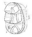 Fig. 07 - Golf Bag Kits
