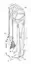 Fig. 01 - Golf bags with a stabilization and reinforcement system and methods to manufacture golf bags with the stabilization and reinforcement system
