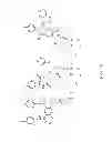 Fig. 17 - Strengthened borosilicate glass containers with improved damage tolerance