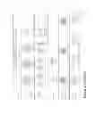 Fig. 02 - MULTI-COMPONENT FILTER MEDIA WITH CONTROL RELEASED ADDITIVES