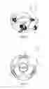 Fig. 07 - Pressure Sprayer