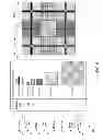 Fig. 06 - COMPUTER READABLE TARTAN SYSTEM
