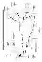 Fig. 02 - Apparatus for displaying bar codes from light emitting display surfaces