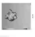 Fig. 110 - VORTEX SPRAY GENERATION SYSTEMS
