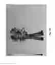 Fig. 131 - VORTEX SPRAY GENERATION SYSTEMS