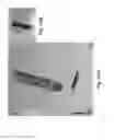 Fig. 55 - VORTEX SPRAY GENERATION SYSTEMS