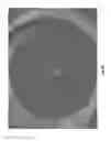 Fig. 90 - VORTEX SPRAY GENERATION SYSTEMS