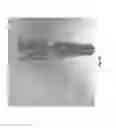 Fig. 96 - VORTEX SPRAY GENERATION SYSTEMS