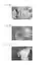 Fig. 08 - Method of making hydroxyalkylcellulose microparticles