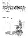 Fig. 06 - RADIATION DETECTION APPARATUS, MANUFACTURING METHOD THEREOF, AND RADIATION DETECTION SYSTEM