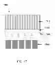 Fig. 32 - Methods for manufacturing three-dimensional devices and devices created thereby