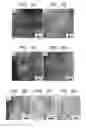 Fig. 04 - Scintillator having phase separation structure and radiation detector using the same