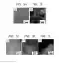 Fig. 05 - Scintillator having phase separation structure and radiation detector using the same