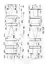 Fig. 13 - Charged Particle Optics with Azimuthally-Varying Third-Order Aberrations for Generation of Shaped Beams