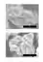 Fig. 07 - Manganese/nickel composite oxide particles and process for producing the manganese nickel composite oxide particles, positive electrode active substance particles for non-aqueous electrolyte secondary batteries and process for producing the positive electrode active substance particles, and non-aqueous electrolyte secondary battery