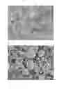 Fig. 09 - Manganese/nickel composite oxide particles and process for producing the manganese nickel composite oxide particles, positive electrode active substance particles for non-aqueous electrolyte secondary batteries and process for producing the positive electrode active substance particles, and non-aqueous electrolyte secondary battery
