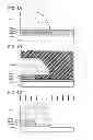 Fig. 05 - Semiconductor device and method for manufacturing the same