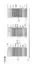 Fig. 30 - Light-emitting device including color filter and black matrix