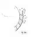 Fig. 04 - Thermal-conduction element for improving the manufacture of a package for transporting and/or storing radioactive materials