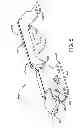 Fig. 05 - Latch assembly