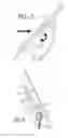 Fig. 06 - Adjustable footrest