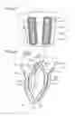 Fig. 03 - Stator for rotating electric machine and method of manufacturing the same