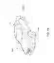 Fig. 14 - VIBRATION PIECE, ELECTRONIC DEVICE AND ELECTRONIC APPARATUS