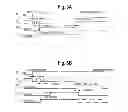 Fig. 04 - Battery control and protective element validation method