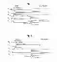 Fig. 05 - Battery control and protective element validation method