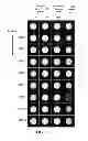Fig. 08 - System for optimized low power MR imaging