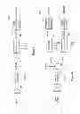 Fig. 06 - Apparatuses and methods for altering a forward path delay of a signal path