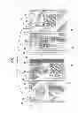 Fig. 02 - Multiface document