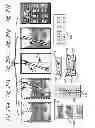 Fig. 30 - Multiface document