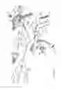 Fig. 43 - Providing Near Real Time Feedback To A User Of A Surgical Instrument