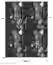 Fig. 04 - Multi-dimensional stacking with self-correction
